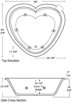 Heart Specifications